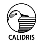 Calidris logo