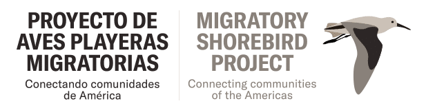 Migratory Shorebird Logo in Spanish