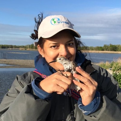 Salvadore Morales - Miembro del Comité Directivo